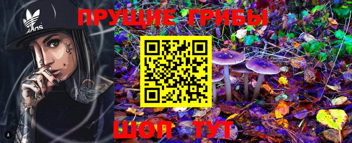 Железноводск  где найти наркотики  Вход с VPN  Галлюциногенные грибы Cubensis  Галлюциногенные грибы мухоморы 