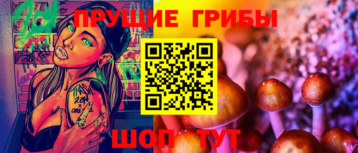 Галлюциногенные грибы Psilocybine cubensis Железноводск